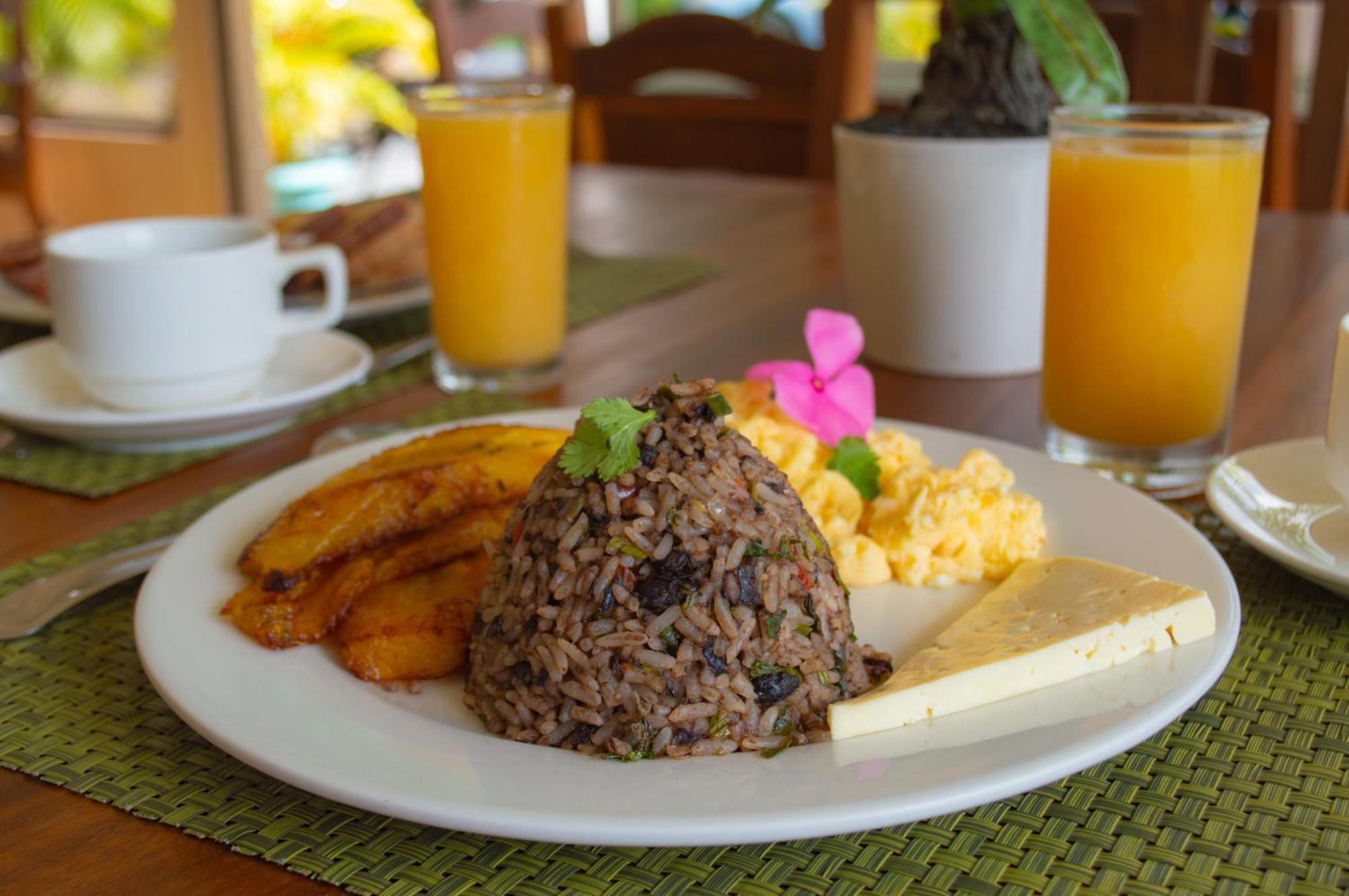 Arenal Roca Lodge & Bungalows La Fortuna 외부 사진